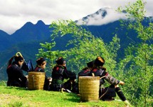 Tour Du Lịch Sapa - Bản Cát Cát - Hàm Rồng 2 Ngày (Đi - Về bằng tàu hỏa)